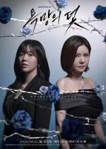 A Trap Called Desire (2026) Episode 40 English Sub thumbnail