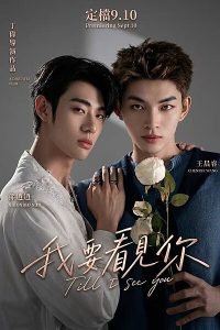 Till I See You (2026) poster